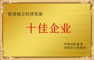 Top Ten Enterprises For Economic Promotion